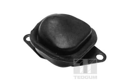 TEDGUM Lagerbock, Achskörper