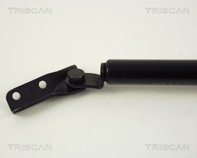 AMORTIZOR PORTBAGAJ KAWE 871042218 1