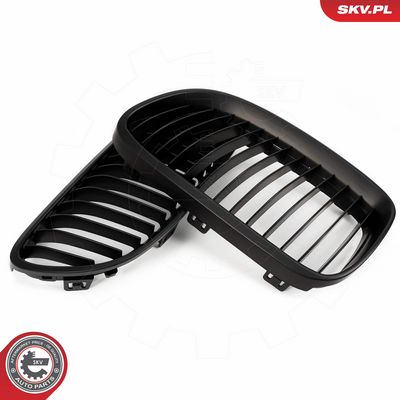 GRILA RADIATOR ESEN SKV 66SKV113 3
