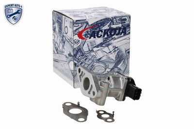 SUPAPA EGR ACKOJA A64630002 1
