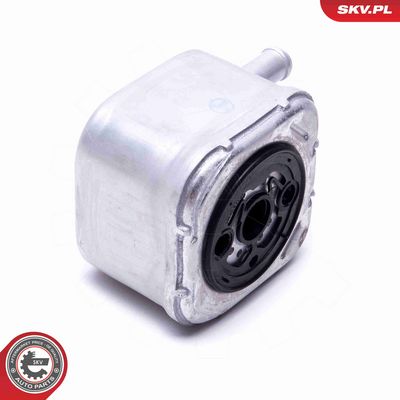 RADIATOR ULEI ULEI MOTOR ESEN SKV 31SKV205 2