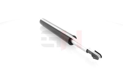 AMORTIZOR GH GH344794 22