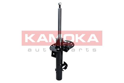 Shock Absorber 2000042