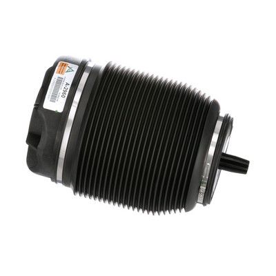 LUFTFEDER FAHRWERK Arnott A2960 65