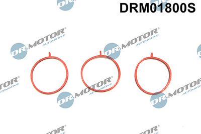 Sada těsnění, koleno sacího potrubí LIZARTE DRM01800S