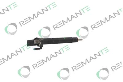 INJECTOR REMANTE 002003002289R 2