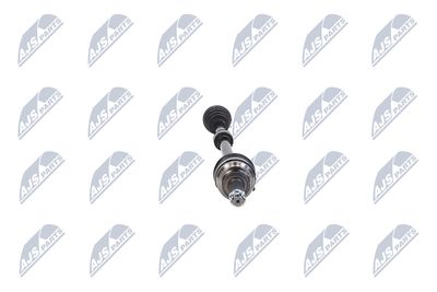 PLANETARA NTY NPWCH062 33