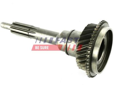 ARBORE INTRARE CUTIE DE VITEZA