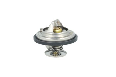 TERMOSTAT LICHID RACIRE NRF 725478 17