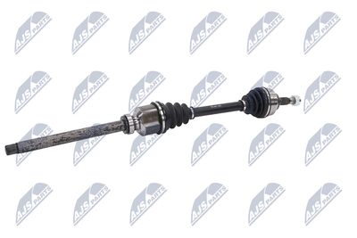 PLANETARA NTY NPWPE081 4