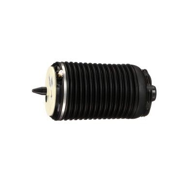 LUFTFEDER FAHRWERK Arnott A3328 27