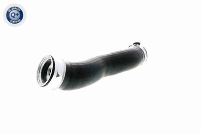 FURTUN EAR SUPRAALIMENTARE VAICO V201618 4