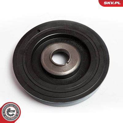 FULIE CUREA ARBORE COTIT ESEN SKV 95SKV305