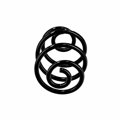 ARC SPIRAL EIBACH R10187 13