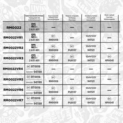 SET CUREA DE DISTRIBUTIE ET ENGINETEAM RM0022 1