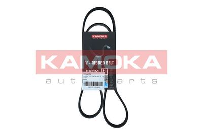 Pasek klinowy wielorowkowy KAMOKA 7016073 produkt