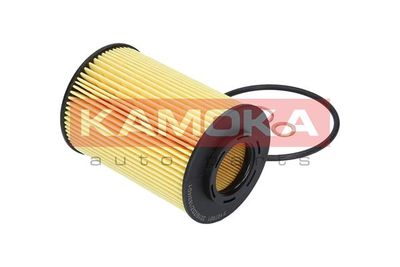 Oil Filter F107901