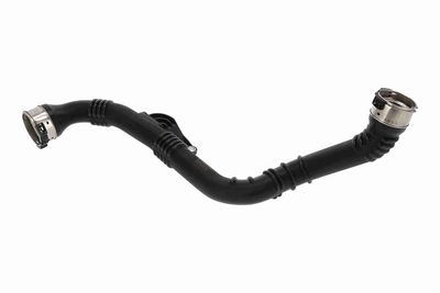 FURTUN EAR SUPRAALIMENTARE ACKOJA A380643 2