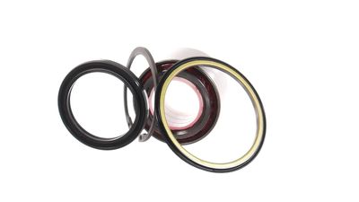 SET RULMENT ROATA SKF VKBA3219 18