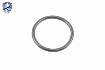 HYDRAULIKFILTERSATZ AUTOMATIKGETRIEBE VAICO V260427 3