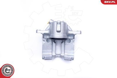 Brake Caliper 42SKV761