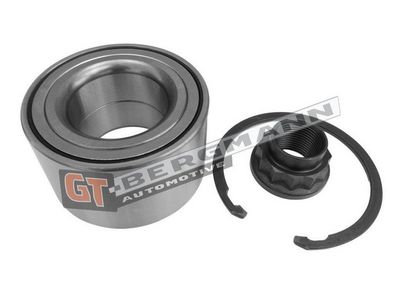 GT-BERGMANN Automotive Rato guolio komplektas