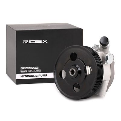RIDEX Servo pomp (12H0123)