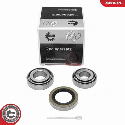 SET RULMENT ROATA ESEN SKV 85SKV008