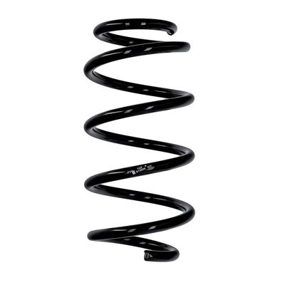 ARC SPIRAL EIBACH R10806 25