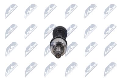 PLANETARA NTY NPWPL034 33