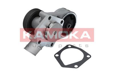 Water Pump, engine cooling T0258