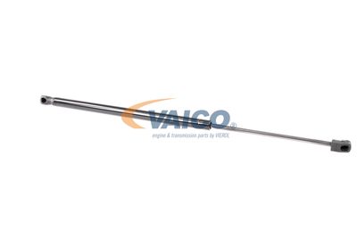 GASFEDER KOFFER-/LADERAUM VAICO V108665 14