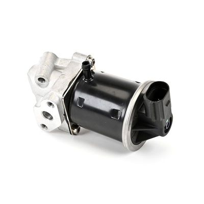 SUPAPA EGR DELPHI EG1041612B1 15