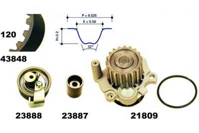 SET POMPA APA + CUREA DINTATA MAPCO 41847