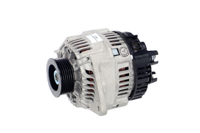 GENERATOR / ALTERNATOR REMANTE 011003000077R 7