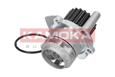 Water Pump, engine cooling T0023