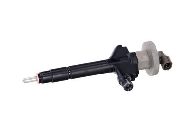 INJECTOR REMANTE 002003000191R 8