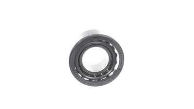 RADLAGER SKF VKHB2179 39