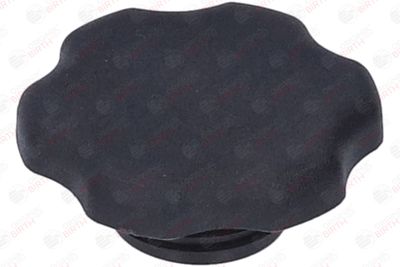 BUSON UMPLERE ULEI BIRTH 8813 2