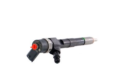 INJECTOR REMANTE 002003001391R 33