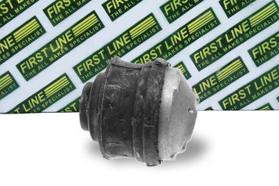 окачване, двигател FIRST LINE FEM3634