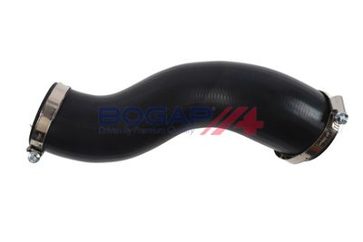 FURTUN EAR SUPRAALIMENTARE BOGAP B1711232 3