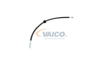 FURTUN FRANA VAICO V201909 53