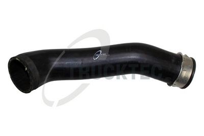 FURTUN EAR SUPRAALIMENTARE