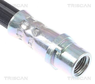 FURTUN FRANA TRISCAN 815029262 2