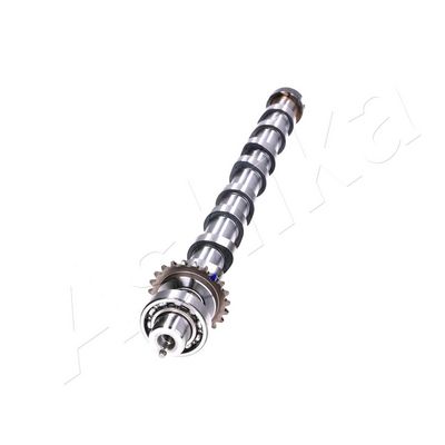 AX CU CAME ASHIKA 16PE004 2