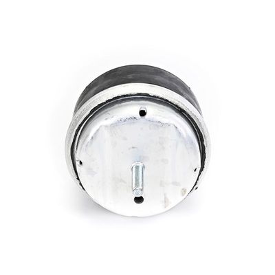 LAGERUNG MOTOR DELPHI TEM239 2