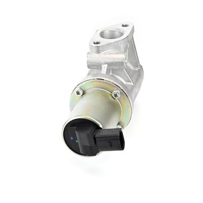 AGR-VENTIL DELPHI EG1061412B1 21