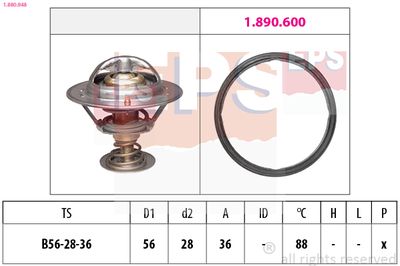 TERMOSTAT LICHID RACIRE