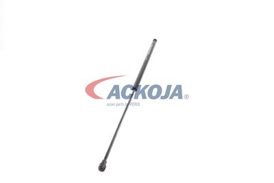 AMORTIZOR PORTBAGAJ ACKOJA A380338 27